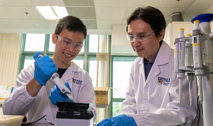 Ученые нашли способ сохранять данные в&nbsp;ДНК живых бактерий