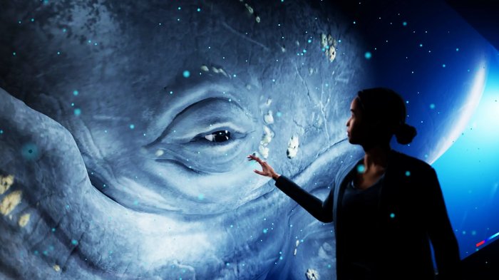 В Австралии открылся первый голографический зоопарк