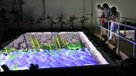 В Австралии открылся первый голографический зоопарк