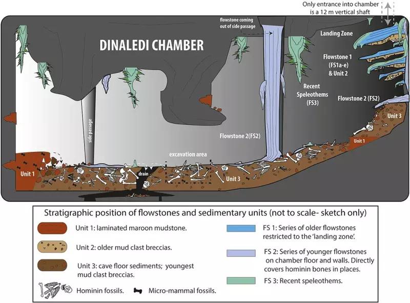 Загадка Homo Naledi: погребальные обычаи и древние костры в пещере Восходящая звезда