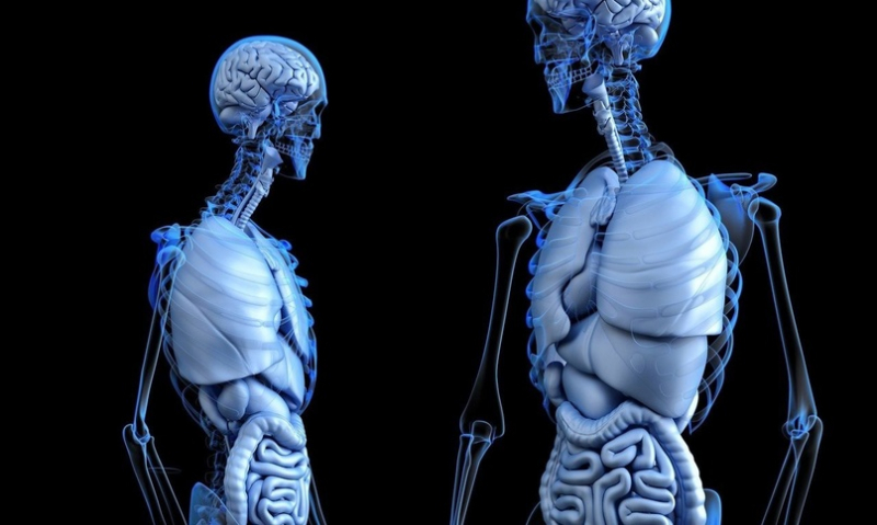 3D-фотолитографическая печать - шаг к будущей 3D-печати тканей человека