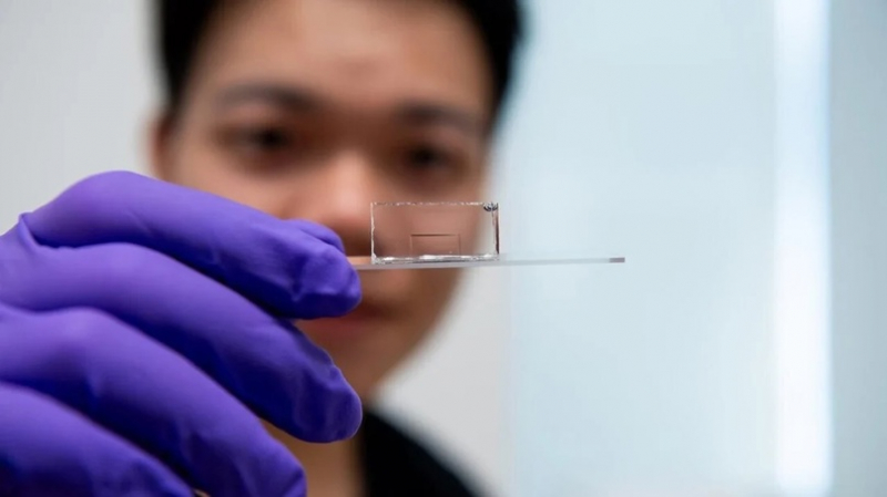 Новый прорыв в науке: ученые создали самые маленькие 2D оптические волноводы