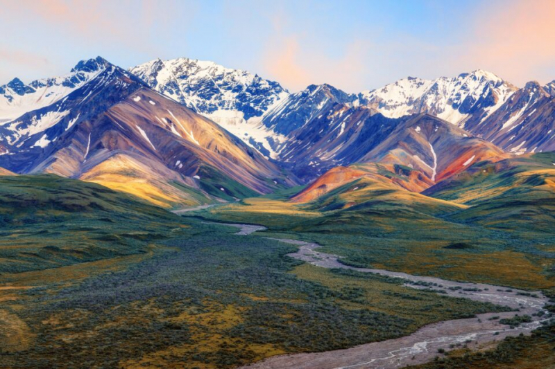 Открытие "Колизея": Обнаружен крупнейший на Аляске след динозавра