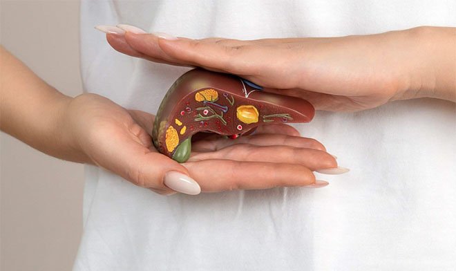 В РХТУ предложили лечить цирроз печени с&nbsp;помощью аэрогеля