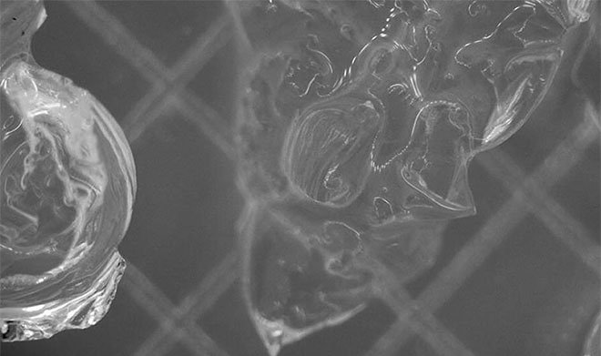 В РХТУ предложили лечить цирроз печени с&nbsp;помощью аэрогеля