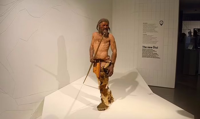 Знаменитый «Ледяной человек» Этци оказался совсем не таким, как его представляли раньше