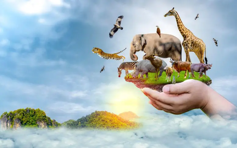 Криоконсервация – отличное решение для спасения видов от вымирания