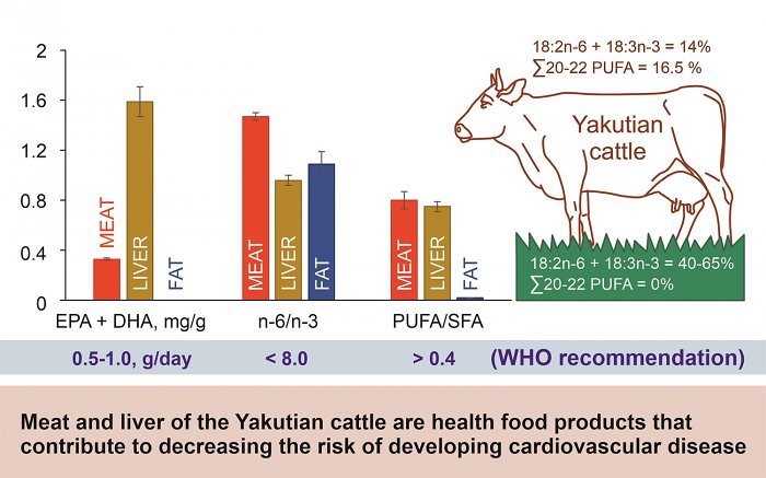 Сибирские ученые выяснили, какая говядина самая полезная