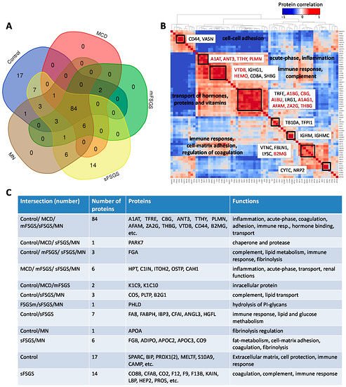 «Сколтехом» разработана перспективная методика определения болезни почек