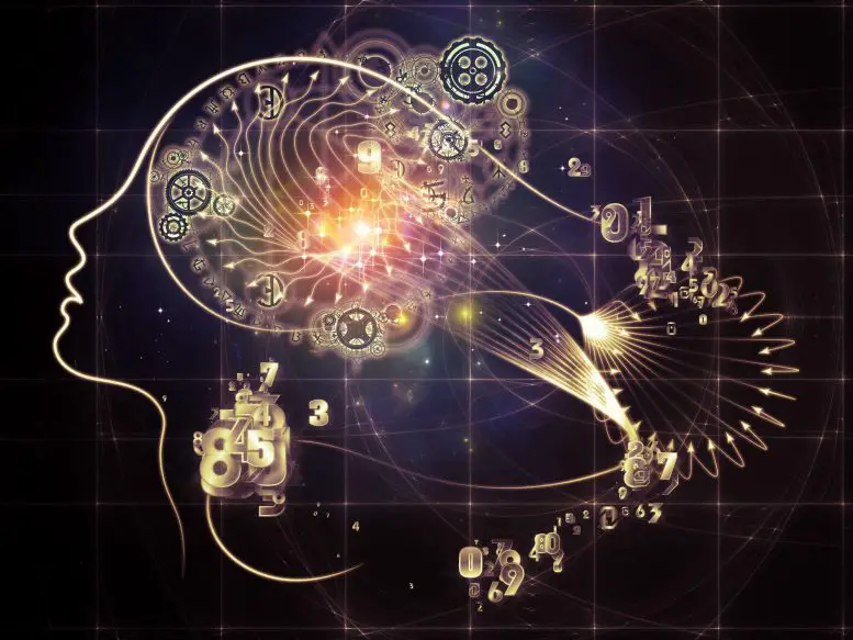 Уникальная способность человека к изучению и запоминанию порядка: Шаг к пониманию культурных способностей человека