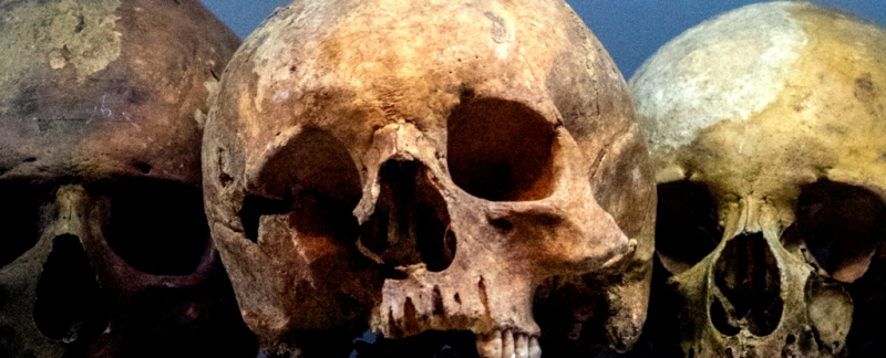 Действительно ли человечество имеет шанс 1 из 6 вымереть в этом столетии?