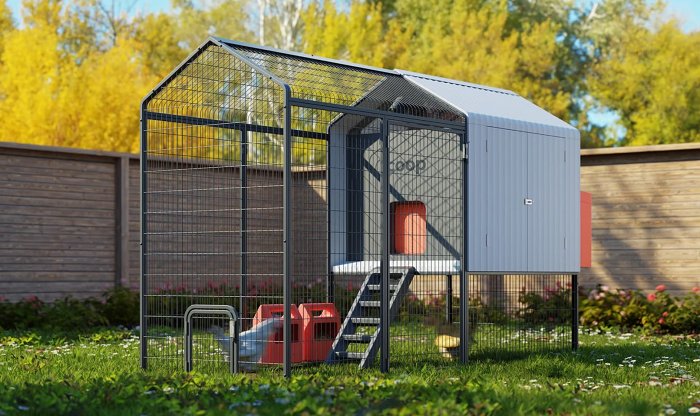 Искусственный интеллект &laquo;Альберт Эггштейн&raquo; растолкует человеку потребности куриц