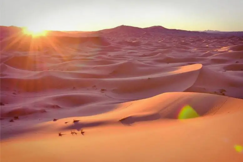 Раскрывая секреты Сахары: как древняя цивилизация процветала в пустыне