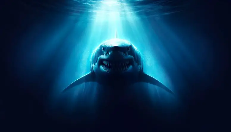 Эффект челюстей: как СМИ и фильмы влияют на представления об акулах