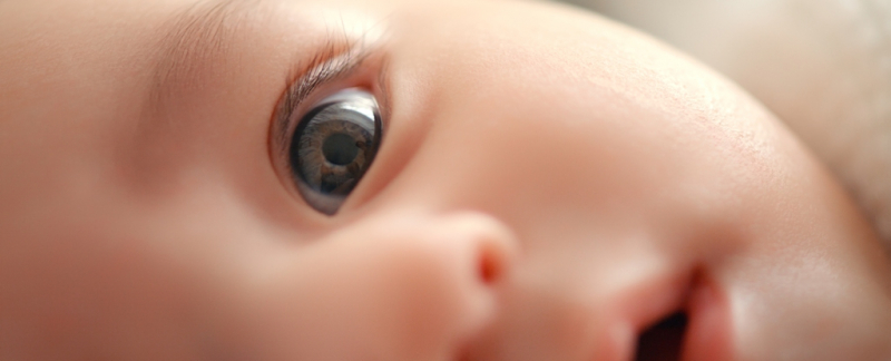 Новое исследование позволяет предположить, что изучение языка начинается еще в утробе матери