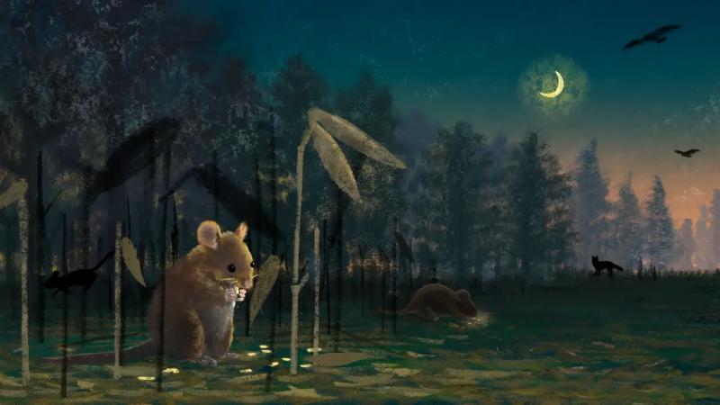 Ученые раскрыли удивительную связь между мышами и растением, которое цветет раз в столетие