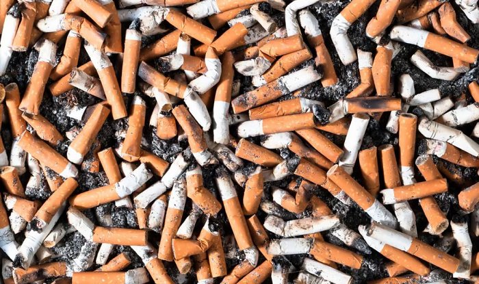 Из окурков можно добывать весьма ценное вещество для получения биодизеля