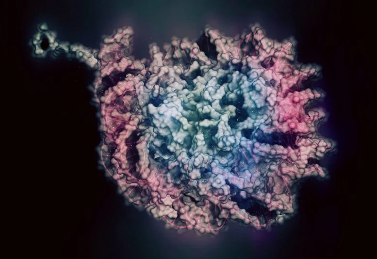 Результаты исследования - вещество, обнаруженное в обычных бытовых и косметических продуктах, может изменять эпигенетику клеток