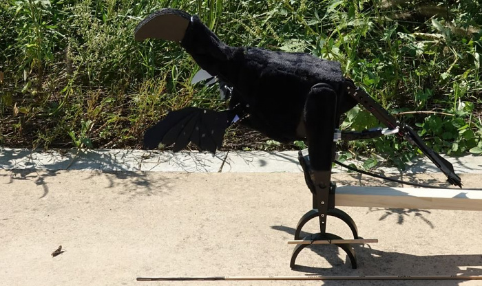 Дино-робот помог раскрыть тайну первых крыльев и перьев у динозавров