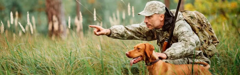 Где можно поохотиться в Беларуси