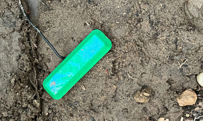 Микробный топливный элемент позволит извлекать бесконечную энергию из грязи