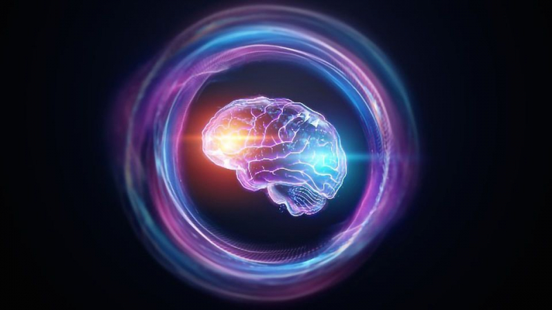 Мы обладаем квантовым мозгом? Иррациональное поведение подчиняется странным правилам