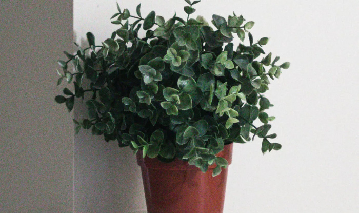 Искусственные растения позволят превращать ветер и дождь в электричество