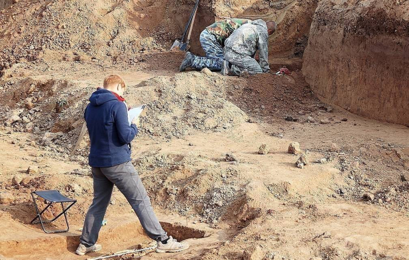 Палеогенетики выявили сразу четыре случая трисомии среди древних жителей Испании