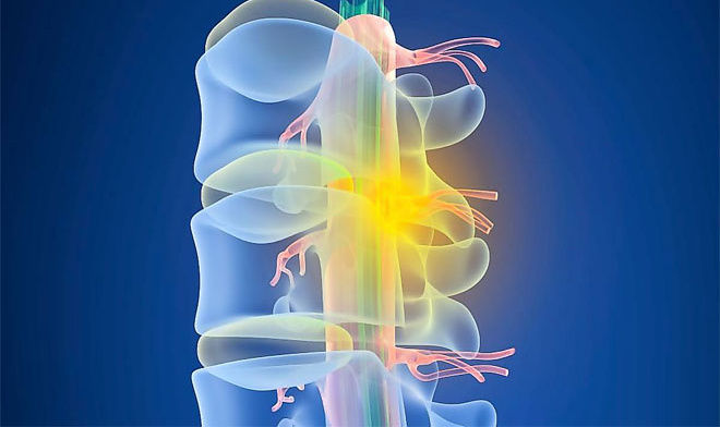 Ученые из Новосибирска провели синтез олигонуклеотидов для борьбы с СМА