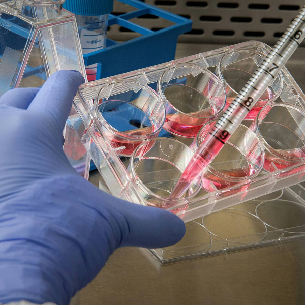 В геноме человека обнаружили миллион неизвестных компонентов