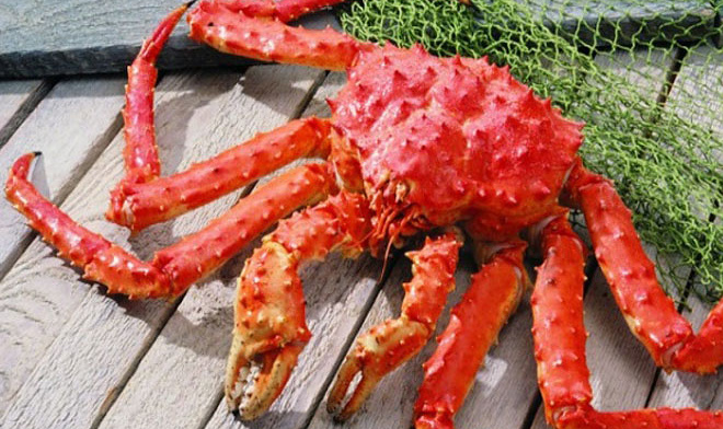 ДВФУ с группой компаний &laquo;Русский краб&raquo; создадут биодобавки из краба