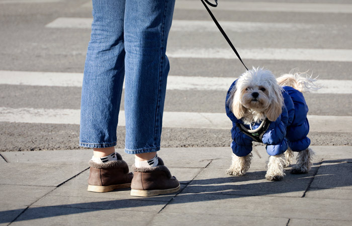 Устойчивая весенняя погода придет в Москву в субботу