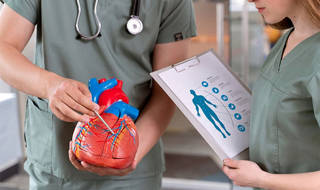 Новосибирские хирурги тестируют самораскрывающийся сердечный клапан