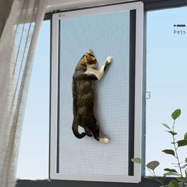 Окна с антимоскитными сетками: как защититься от насекомых без химикатов