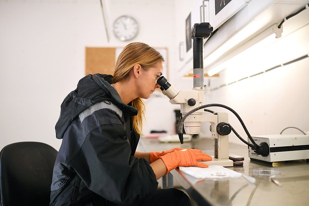 Раскрыт способ борьбы с супербактериями