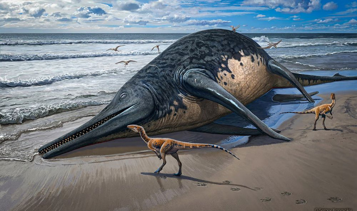 Самый большой морской динозавр мог потягаться размерами с синим китом