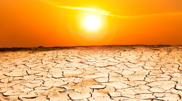 Ученые предрекли повторение высоких температурных рекордов на планете