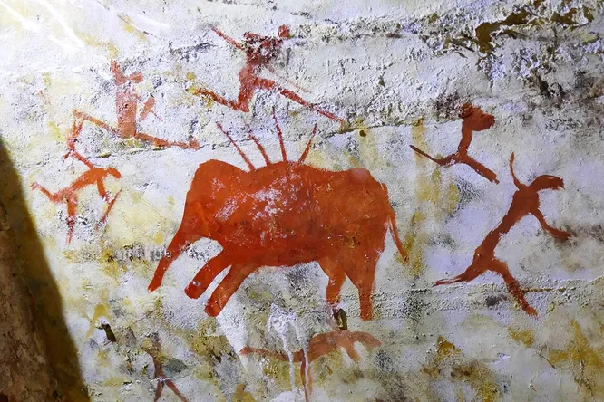 Человек эволюционировал, чтобы быстро и долго бежать и догонять добычу