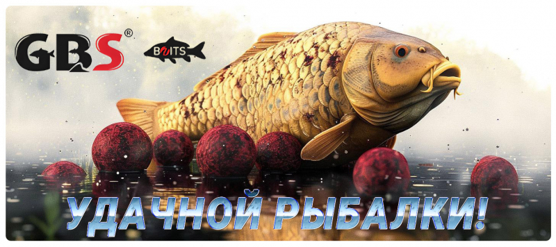 Что такое карповые бойлы?