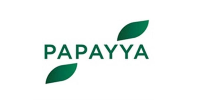 Оператор карт &laquo;Мир&raquo; начал регистрацию платежного бренда Papayya