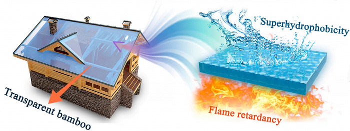 Прозрачный бамбук станет эффективной и экономичной альтернативой стеклу