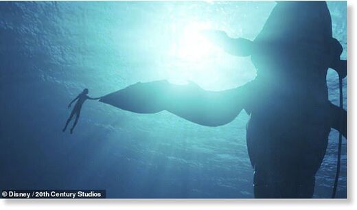 Разрушая барьеры: Ученые смогли провести 20-минутный разговор с китом