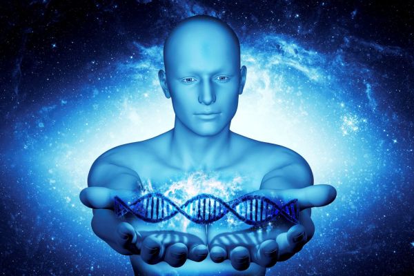 Ученые узнали, какие гены в ходе эволюции менялись быстрее всех