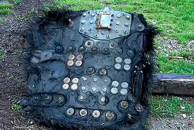 Разгадана тайна найденного в лесу загадочного объекта из космоса