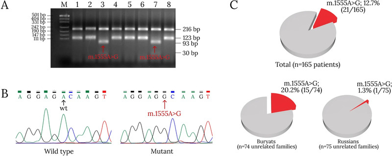 Генетики нашли причину потери слуха у бурят на Байкале