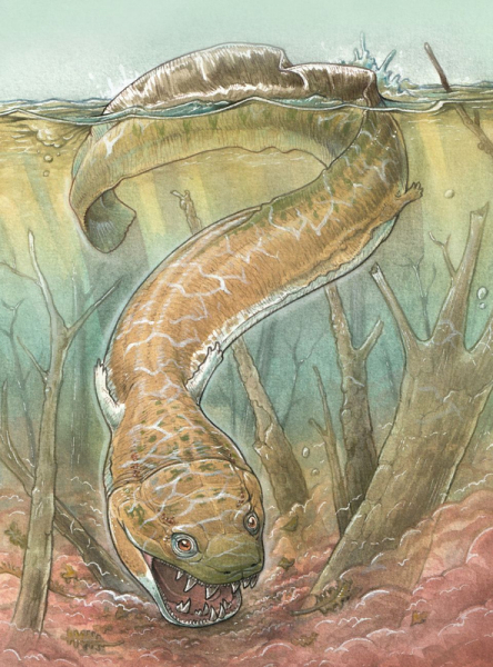 Гигантскую «саламандру» длиной около 2,5 метра назвали верховным хищником раннепермской Намибии