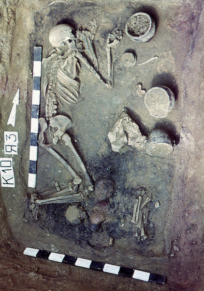 Мужчину из синташтинского погребения назвали древним металлургом с акромегалией