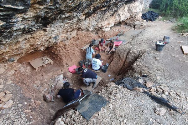 Сотни тысяч артефактов помогли ученым развеять один из мифов о неандертальцах