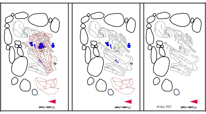 В Турции найдено 12 000-летнее захоронение шаманки: ее окружали скелеты диких животных