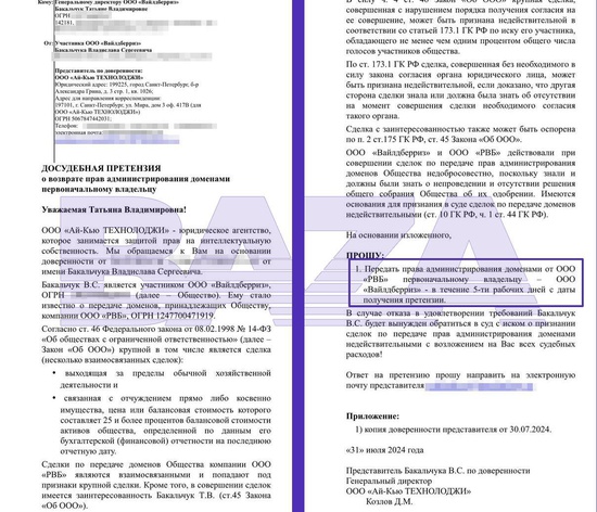 Владислав Бакальчук может начать суд за передачу домена Wildberries &mdash; СМИ